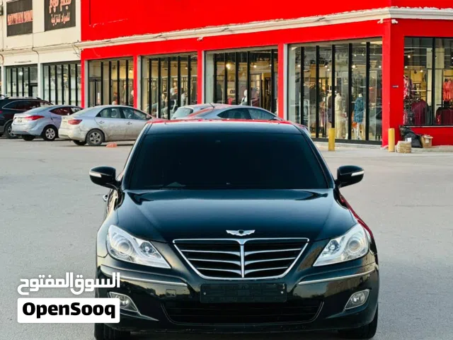 2010 Genesis Other