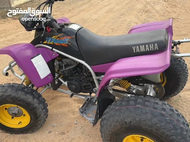Yamaha blaster 1995