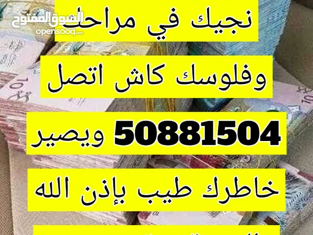 نشتري غنم العدد مفتوح