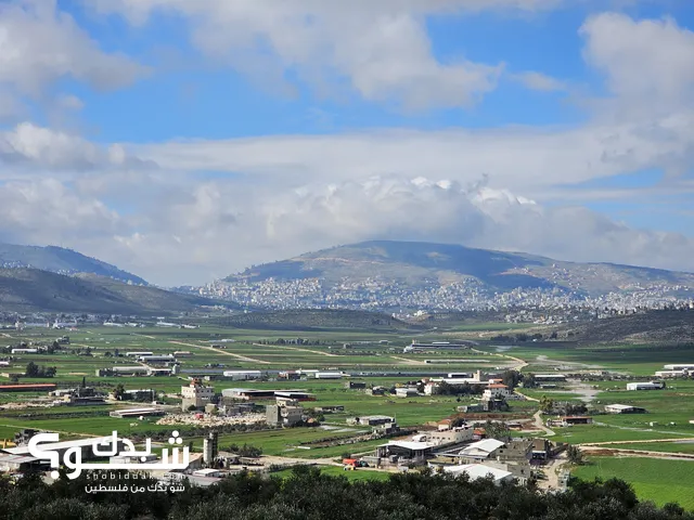 Residential Land for Sale in Nablus Beit Dajan