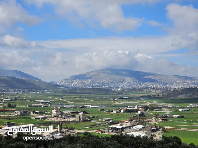 Residential Land for Sale in Nablus Beit Dajan