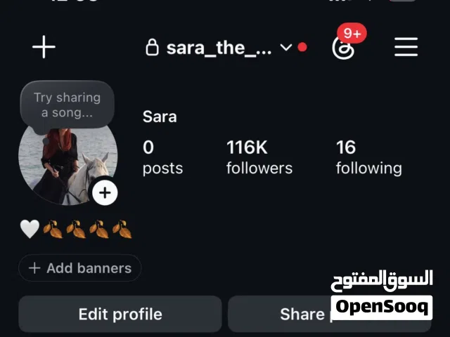 Insta 116k followr account