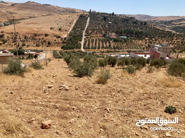 ارض للبيع في بيرين من المالك مباشره ذات اطلاله خلابه مرتفعه مزروعه اشجار زيتون تصلح لمشروع استثماري