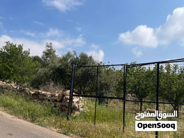 Farm Land for Sale in Ajloun Sakhra