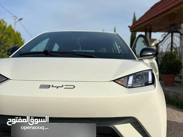 Used BYD Seagull in Irbid
