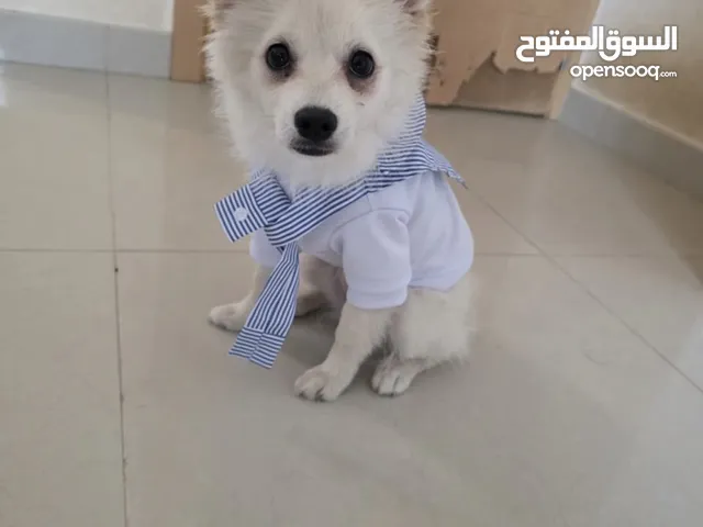 With passport and vaccination