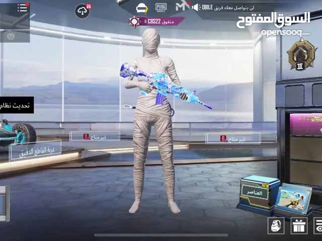 Pubg Accounts and Characters for Sale in Ajman