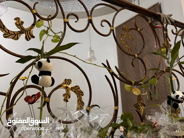 اكواب نباتات طبيعية اهدي أحبابكم