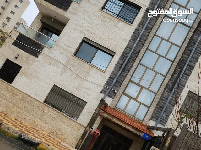 رقم 28 شقة برشيد  قرب مسشفى الجامعه  150م مع حديقة او ايجار  دفعة كل 6ش- ضاحية الرشيد