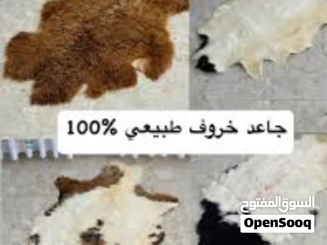 جواعد صوف خراف طبيعي وسعن اللبن