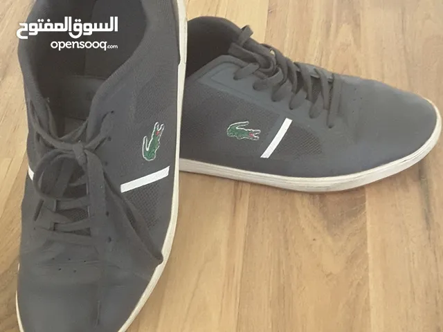 Lacost Sport Shoes in Amman
