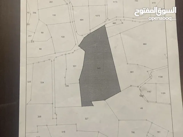 4 دونمات للبيع