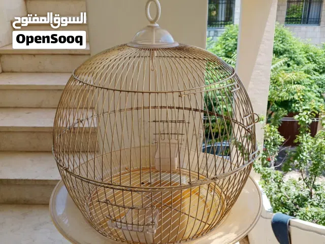 اقفاص نخب اول جداد