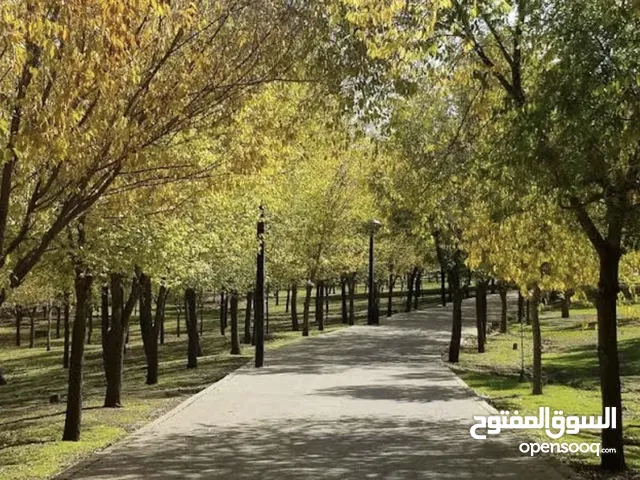 صويلح حوض المنش 750 م