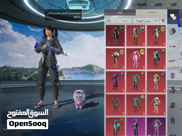 Pubg Accounts and Characters for Sale in Al Batinah