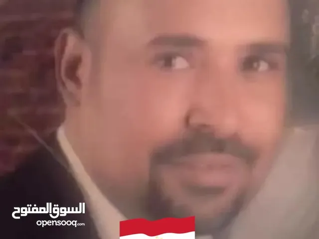 محمود رتيب