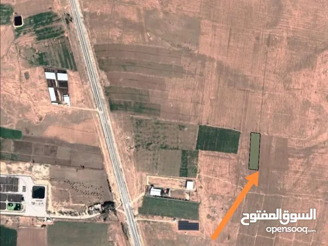 Farm Land for Sale in Mafraq Al Ghadeer Al Abyad