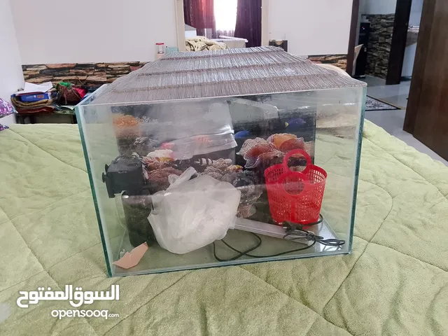 حوض سمك زجاجي