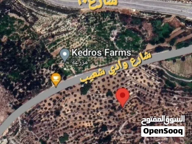 Mixed Use Land for Sale in Salt Wadi Shua'ib