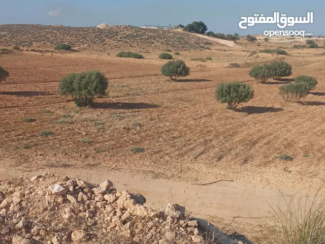 Farm Land for Sale in Murqub Souq Elkhamis