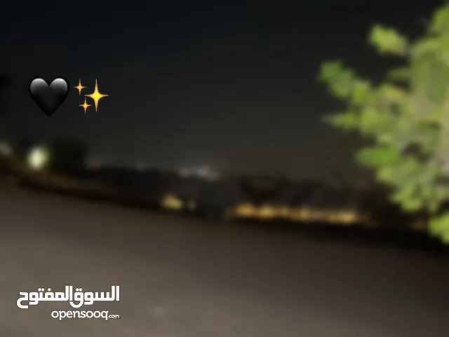 Aseel Omar Ahmad Baradiyyah