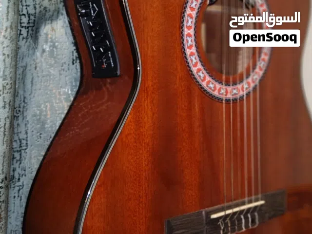جيتار ماركة winzz الغنية عن التعريف