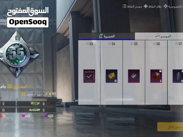 Pubg Accounts and Characters for Sale in Irbid
