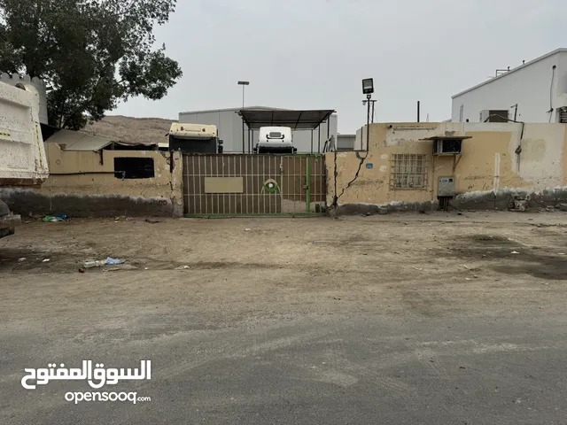 بوشر المسفاه قريبة جدا من الشارع العام