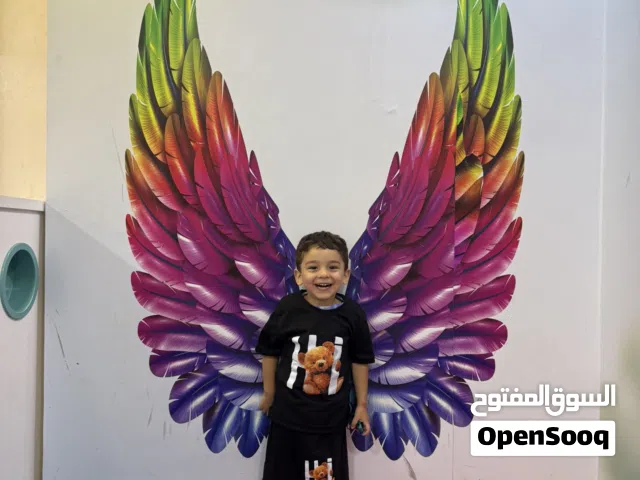 500 m2 5 Bedrooms Apartments for Sale in Ajman Al Rawda