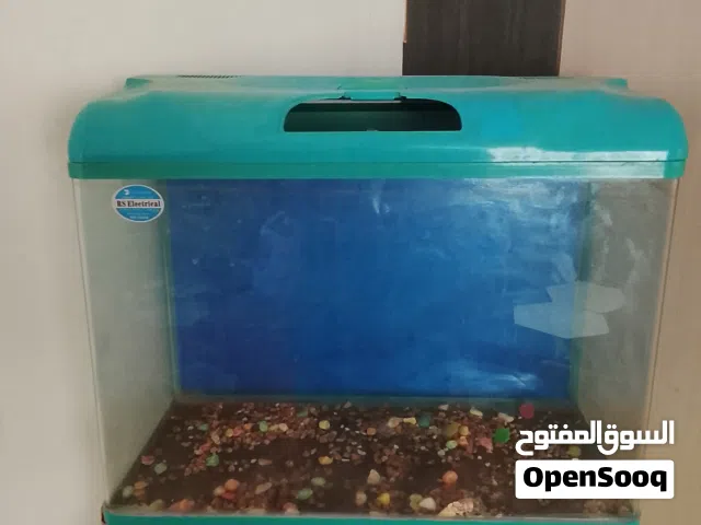 حوض اسماك الزينه معه ماطور الاوكسجين