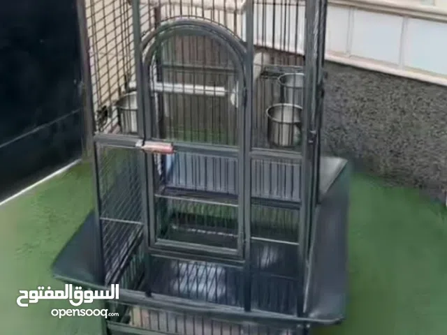 متوفر قفص ببغاء استعمال شهر بس النوع الاول حديد صلب مشاء الله في لون رصاصي ولون ابيض