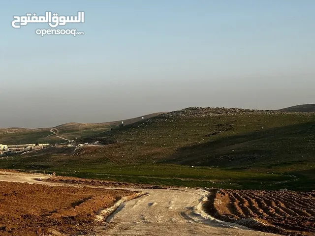 للبيع قطع مفروزة طريق الزرقاء اربد منطقة بلعما واصل خدمات