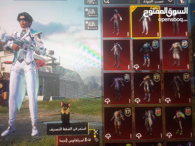 Pubg Accounts and Characters for Sale in Amman