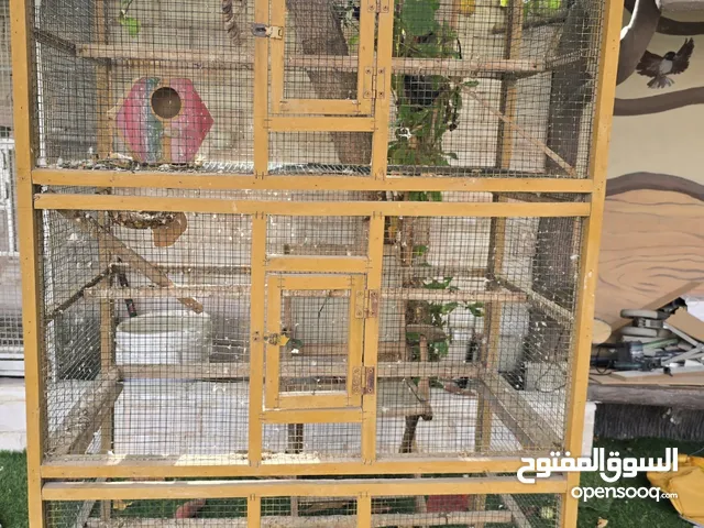 woodern cage