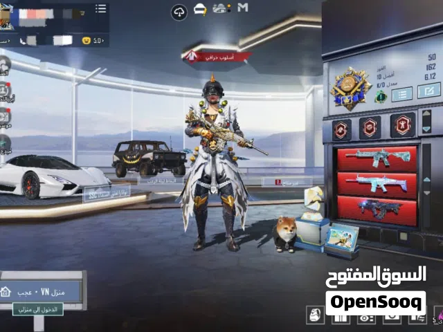 نطلوب حساب ببجي ياكون بين الحساب انفور ثلجي لا حدود 100ريل سعودي