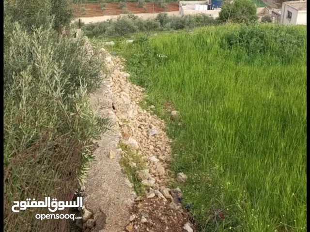 Mixed Use Land for Sale in Salt Ein Al-Basha