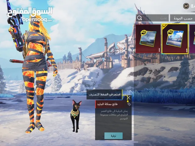 Pubg Accounts and Characters for Sale in Amman