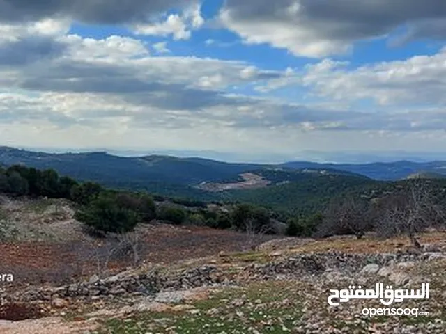 Farm Land for Sale in Ajloun I'bbeen