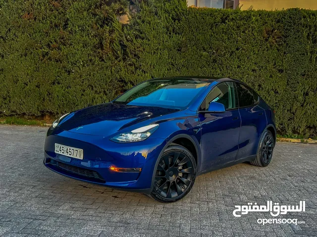 Tesla model (Y) 2024 zero