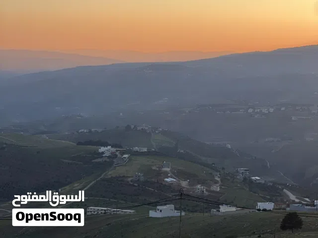 فرصة استثمار لا تعوض جرش عنيبه بالقرب من مزرعة الدكتور محمد نوح القضاه 2000متر مفروزه بقوشان مستقل