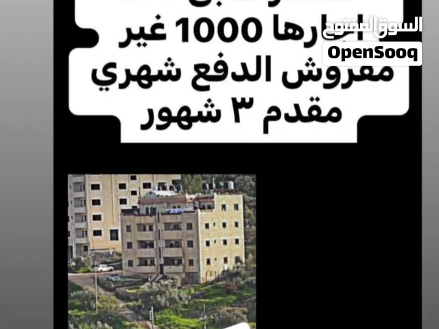 شقه للايجار الشهري
