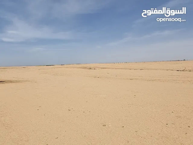 Farm Land for Sale in Amman Umm Al-Rasas