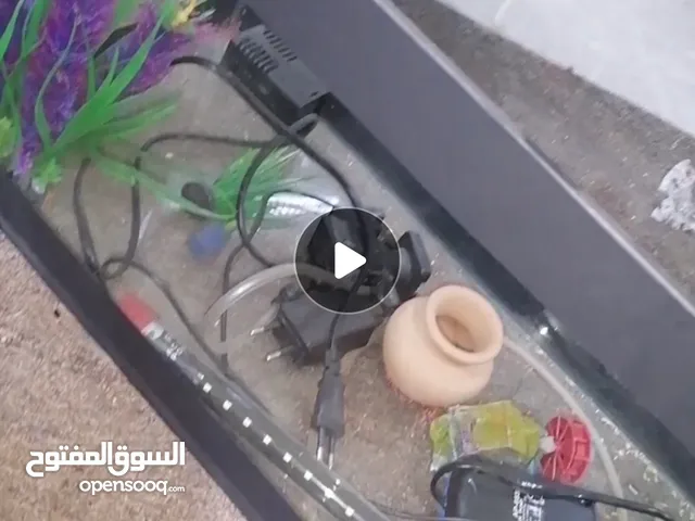 حوض سمك للبيع