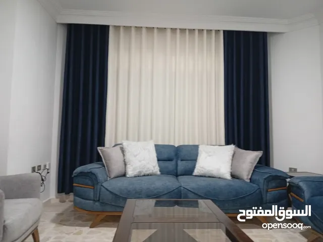 برادي رينجات