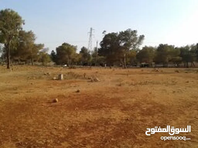 Farm Land for Sale in Benghazi Al-Miqzaha