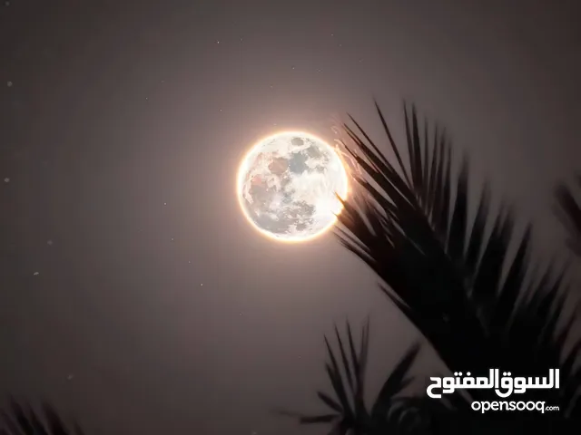 لوحات من سماء العراق