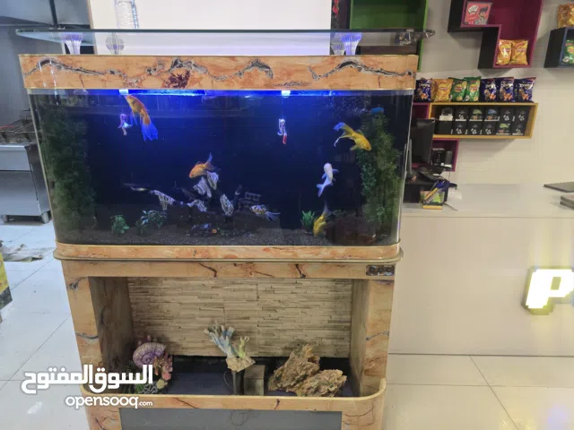 حوض سمك مرمر