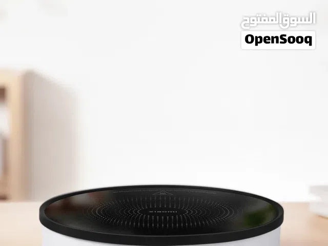 Xiaomi Mijia DCL01CM Single Induction 110v need adapter for 220v