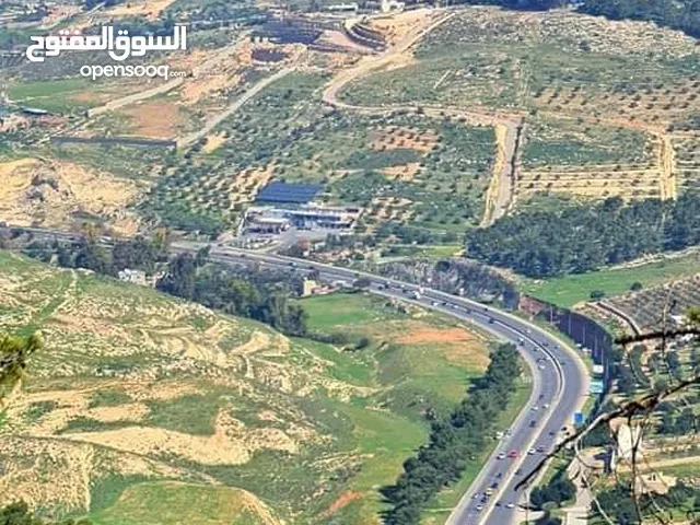 ارض للبيع تل الرمان شمال عمان