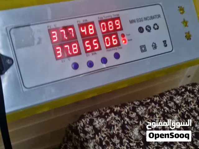 eggs incubator fully automatic